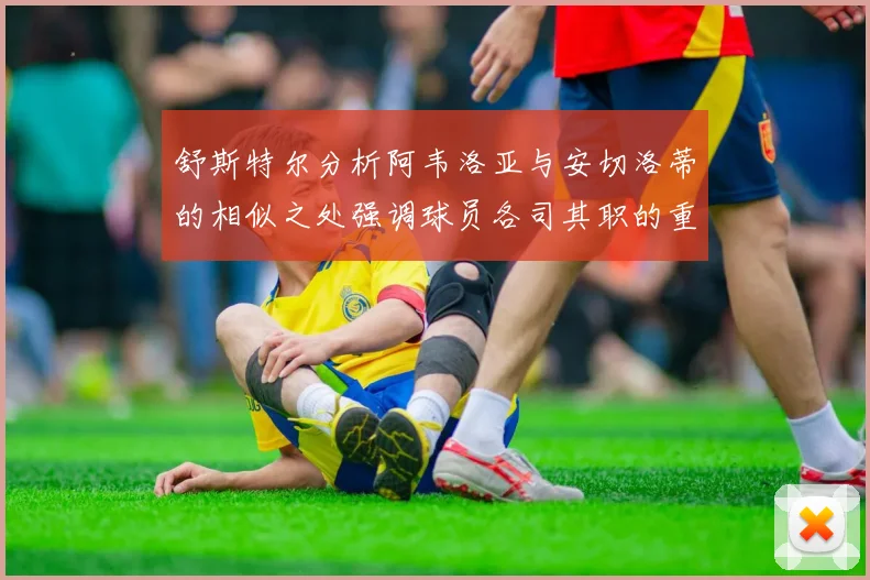 舒斯特尔分析阿韦洛亚与安切洛蒂的相似之处强调球员各司其职的重要性